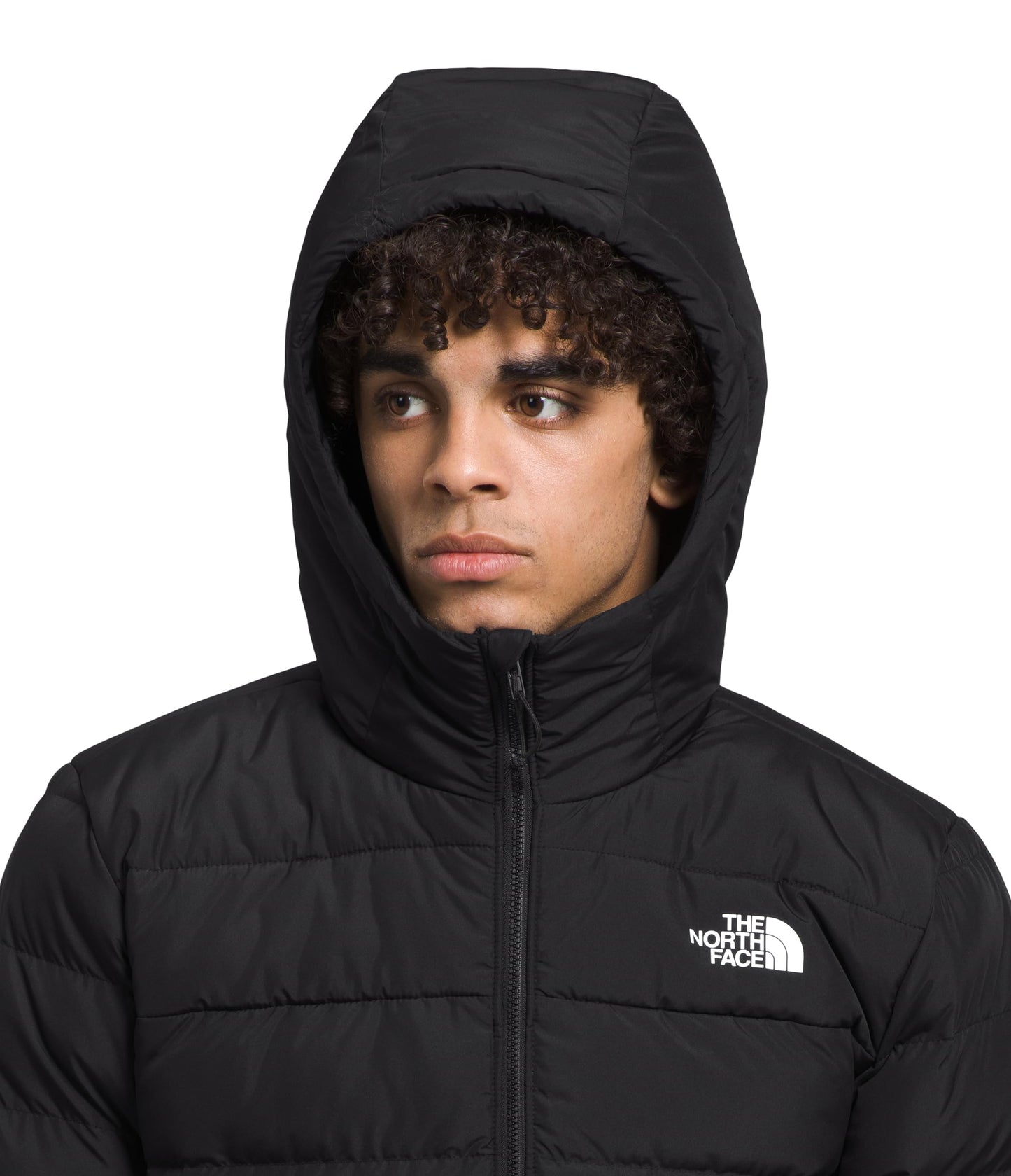 THE NORTH FACE Men's Aconcagua Insulated Hooded Jacket